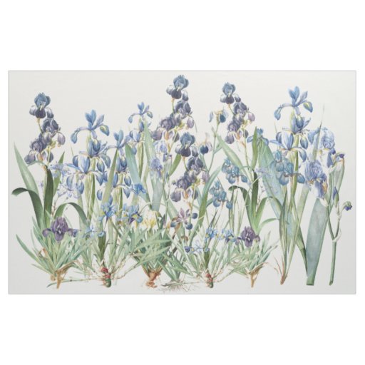 Botanical Iris Flowers Floral Redoute Fabric