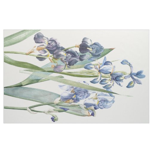 Botanical Iris Flowers Floral Redoute Fabric
