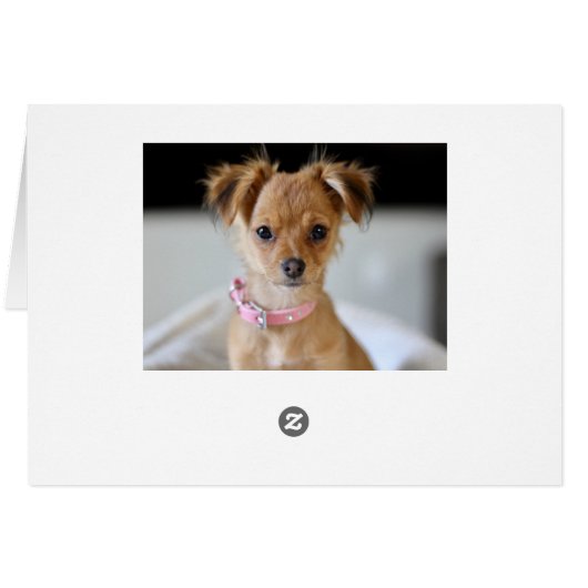 Botanical Joy Paw Print | Pet Holiday Photo Folded (Back Horizontal)