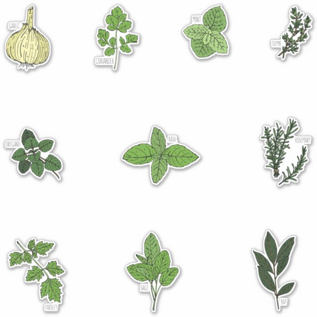 Botanical Kitchen Herb Illustrations Sticker (Front)