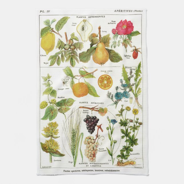 Botanical Kitchen Towel (Vertical)