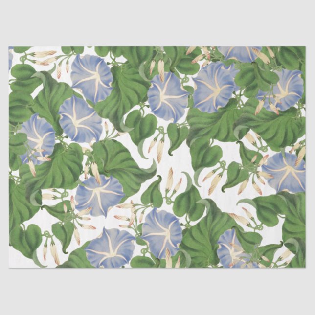 Botanical Morning Glory Flower Floral Tissue Paper (Front)