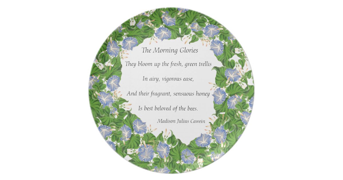 MorningGlory MorningGlory
