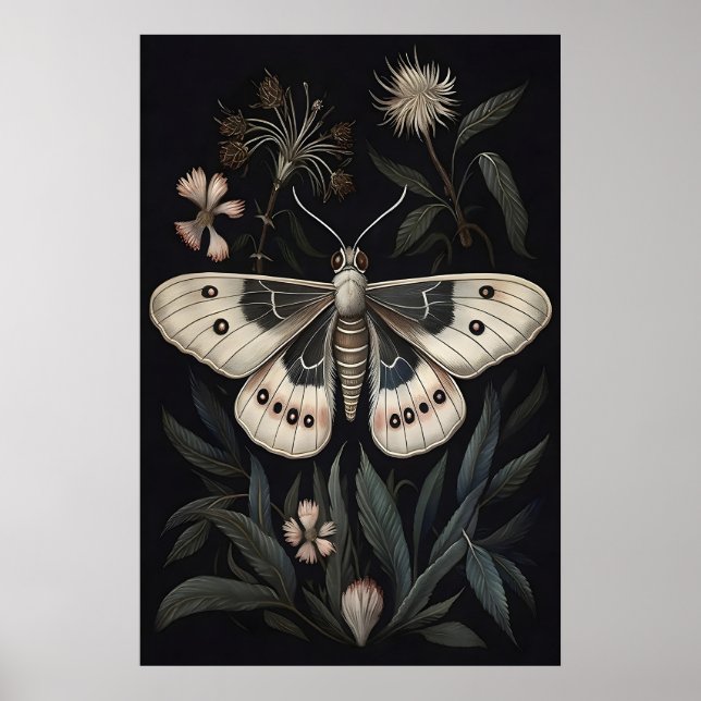 Botanical Moth Art Print, Vintage Butterfly Poster (Front)