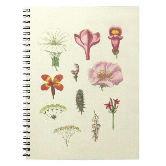 Botanical Notebook (Front)