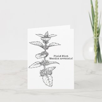 Botanical Notecard Series: Field Mint
