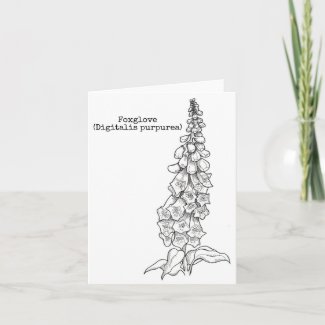 Botanical Notecard Series: Foxglove