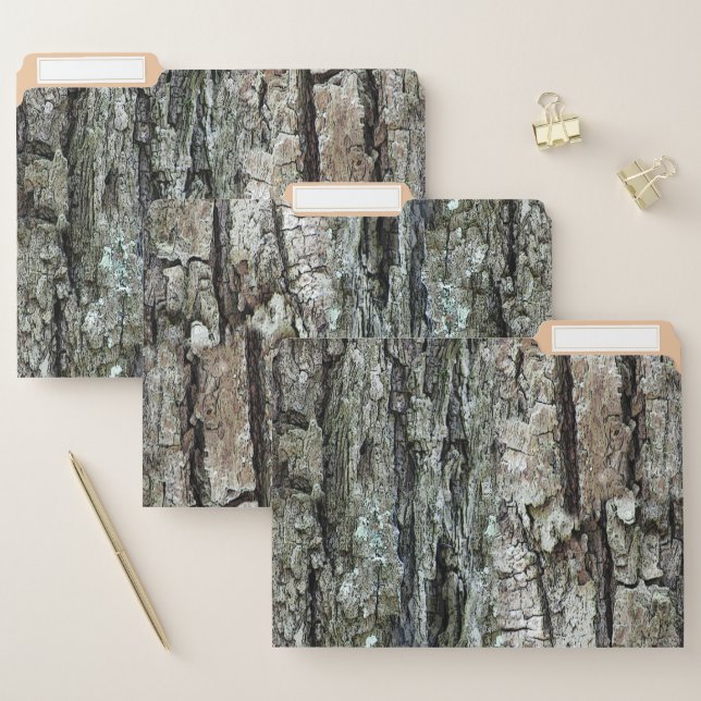 Botanical Old Pine Tree Bark Photo File Folder (Set)