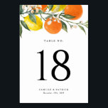 Botanical Oranges and Lemons Summer Wedding Table Number<br><div class="desc">Add a refreshing, citrus-inspired touch to your event with these customizable table number cards, featuring a vibrant watercolor design of lemons and oranges. Perfect for a tropical, summer, or citrus-themed wedding, baby shower, or party, these table number cards can be personalized with your table numbers and any other details you'd...</div>