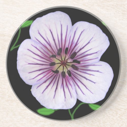 Botanical Pale Blue Geranium Flower on any Color Sandstone Coaster