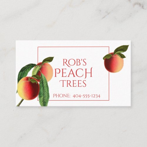 Botanical Peaches on White Business Card