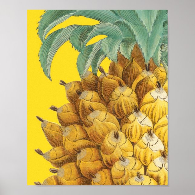 Botanical Pineapple in Yellow Poster (Front)