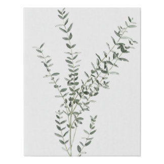 Botanical Plant Wall Art Prints