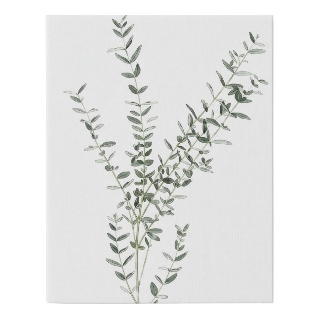 Botanical Plant Wall Art Prints  (Front)