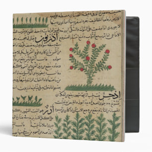 Botanical plants, illustration from 'The Binder