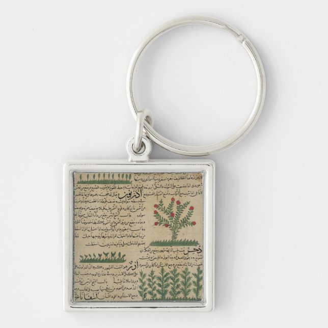 Botanical plants, illustration from 'The Keychain (Front)