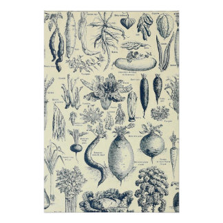 botanical poster