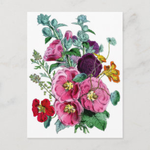 Botanical Print - Hollyhocks & Roses Postcard