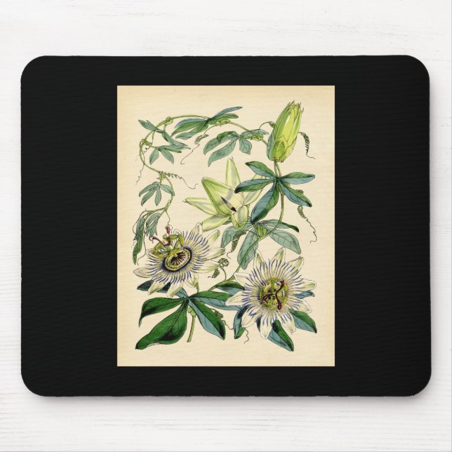 Botanical Print - Passion Flower (Passiflora) Mouse Pad (Front)