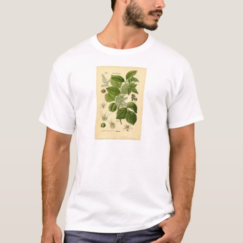 Botanical Print _ Poison Ivy Toxicodendron T_Shirt