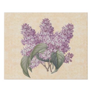 Botanical Purple Lilacs on Sepia