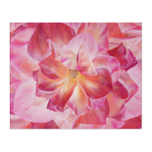 Botanical Rose Blossom Elegant Floral Art Poster