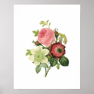 Botanical Rose Clementis Anemone Redoute Poster