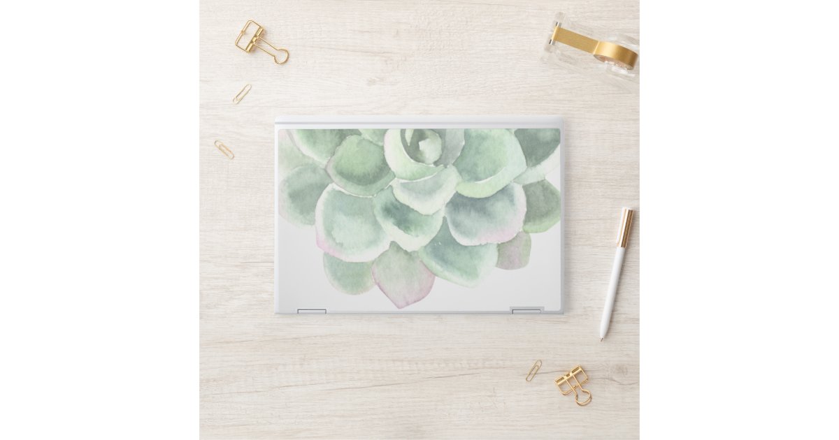 Botanical Sage Green Watercolor Succulent HP Laptop Skin | Zazzle