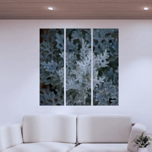 Botanical Silvery Blue Dusty Miller Photographic Triptych