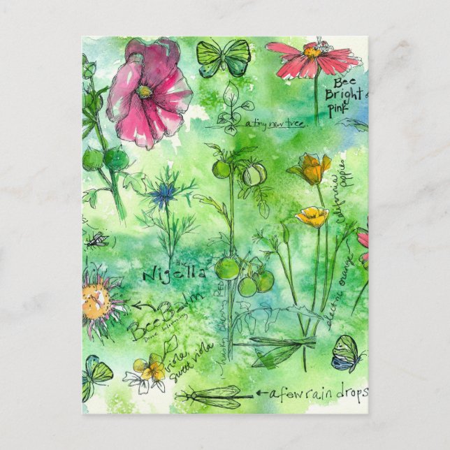 Botanical Sketchbook Butterfly Watercolor Flowers Postcard (Front)