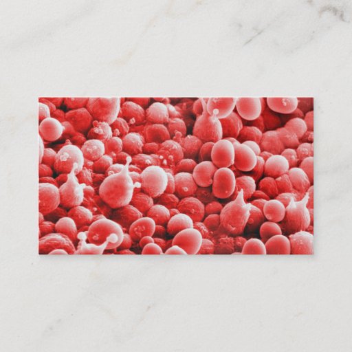 Customizable Botanical Spores - Pink Business Card Background