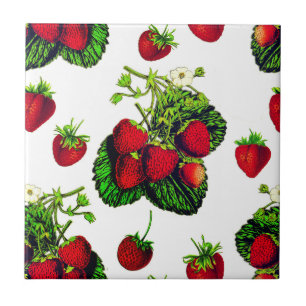 Botanical Strawberry Illustration Print on White Ceramic Tile