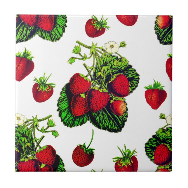 Botanical Strawberry Illustration Print on White  Ceramic Tile (Front)