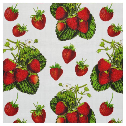 Botanical Strawberry Illustration Print on White  Fabric