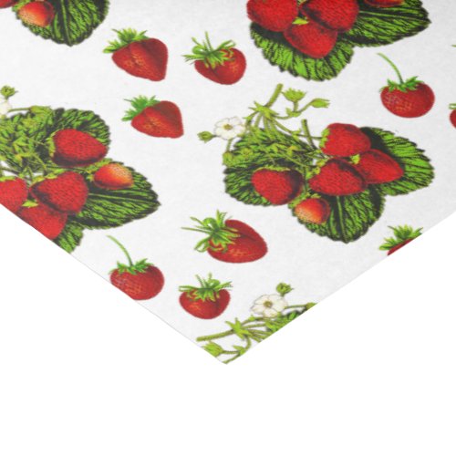 Botanical Strawberry Illustration Print on White Tissue Paper