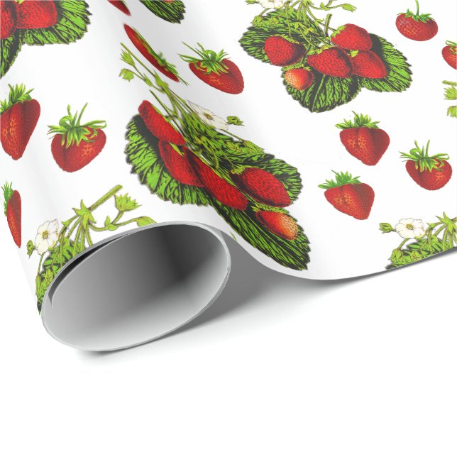 Botanical Strawberry Illustration Print on White Wrapping Paper (Roll Corner)