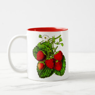 Botanical Strawberry Illustration - Red Berries Two-Tone Coffee Mug
