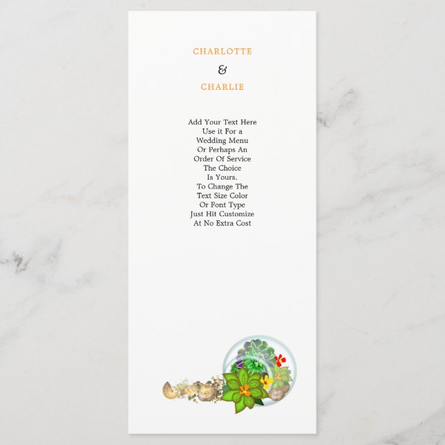 Botanical Succulents | Beach Personalized Program (Front)
