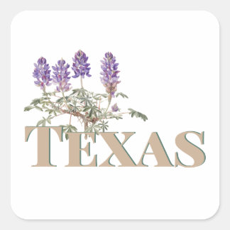 Botanical Texas Bluebonnet 2  Square Sticker