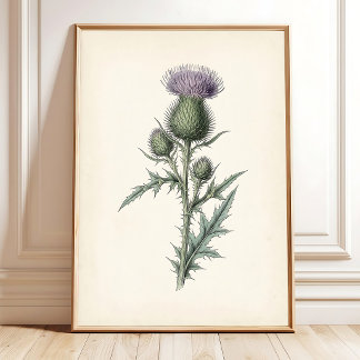 Botanical Thistle Canvas Cottagecore Art Poster
