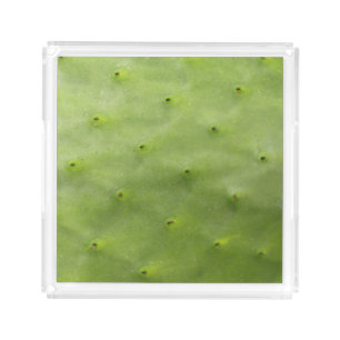 Botanical Tropical Green Cactus Photo Acrylic Tray