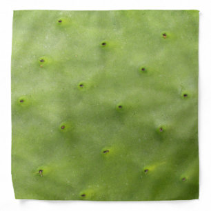 Botanical Tropical Green Cactus Photo Bandana