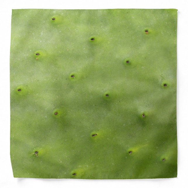 Botanical Tropical Green Cactus Photo Bandana (Front)
