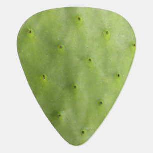 Botanical Tropical Green Cactus Photo Guitar Pick