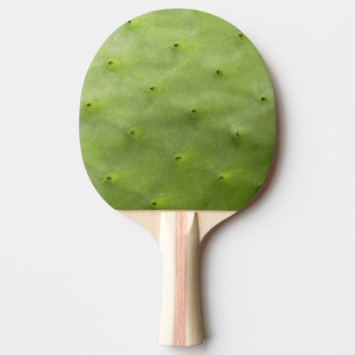 Botanical Tropical Green Cactus Photo Ping_Pong Paddle