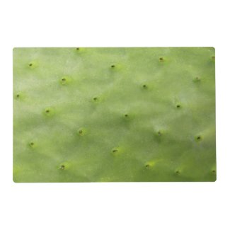Botanical Tropical Green Cactus Photo