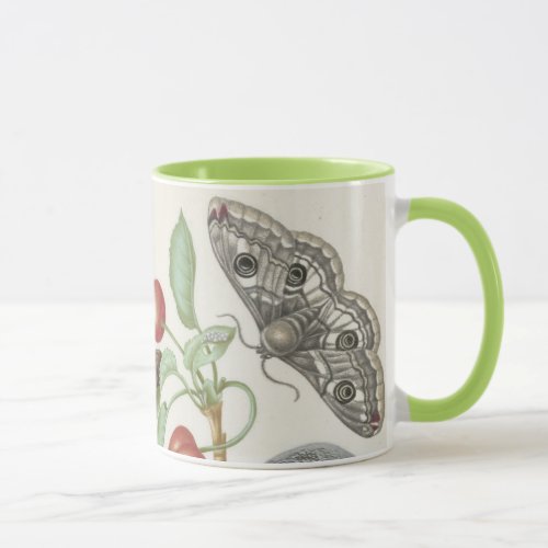 Botanical Two_Tone Mug with Moth and Caterpillar 