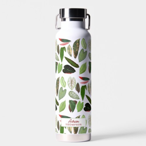 Botanical Vintage Greenery Leaves  Water Bottle