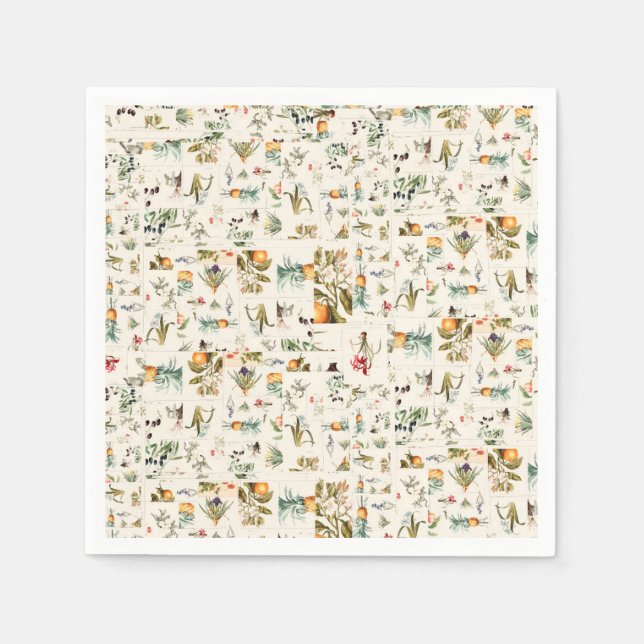Botanical Vintage Illustrations Collage  Napkins (Front)
