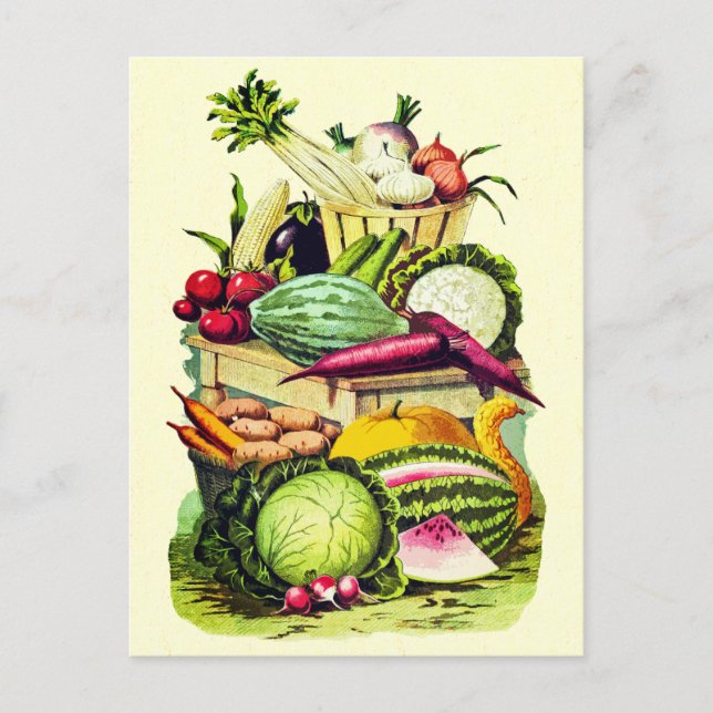 Botanical Vintage Vegetables Garden Farm Harvest Postcard (Front)